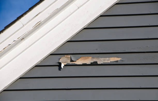 How To Choose The Right Materials for Your Siding Installation in 'Walford, IA